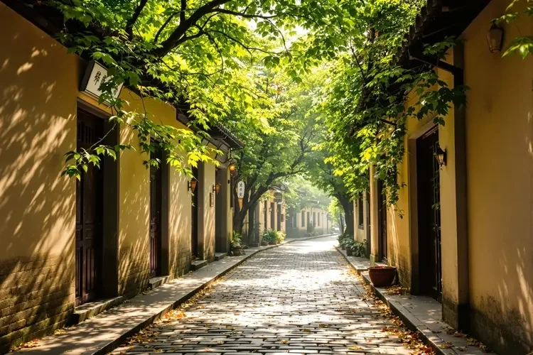 梧桐巷口